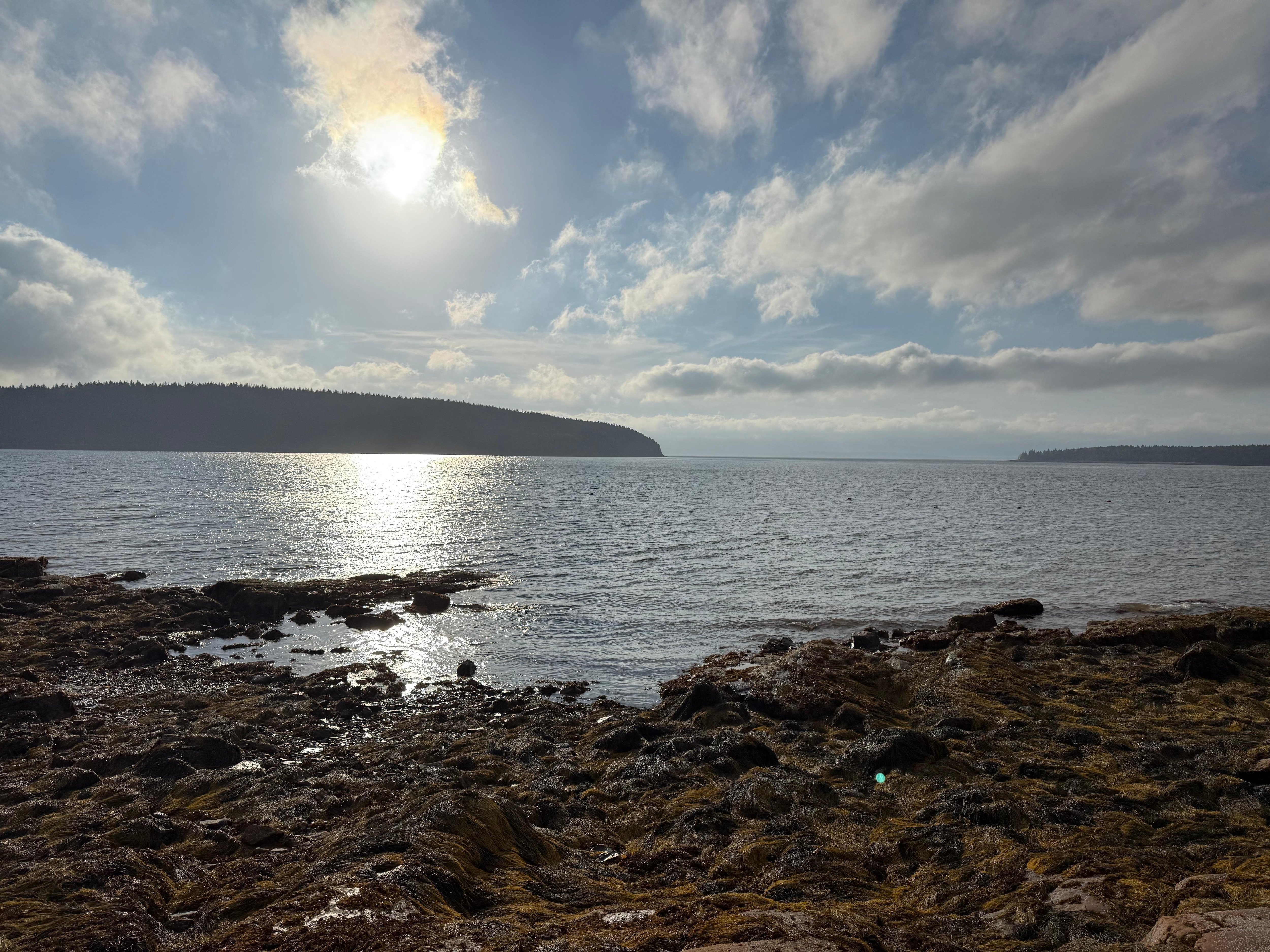 View from the shore. 