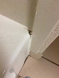 Showing the bathroom issues