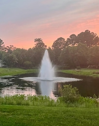 View from the back patio