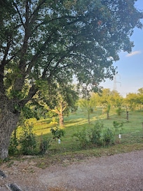 View from the driveway