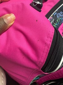 Bedbug traces/poop speckling found on my daughter’s suitcase.