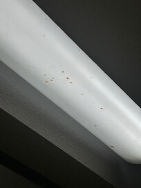 some substance had sprayed up onto the bathroom light fixture (and closet door).