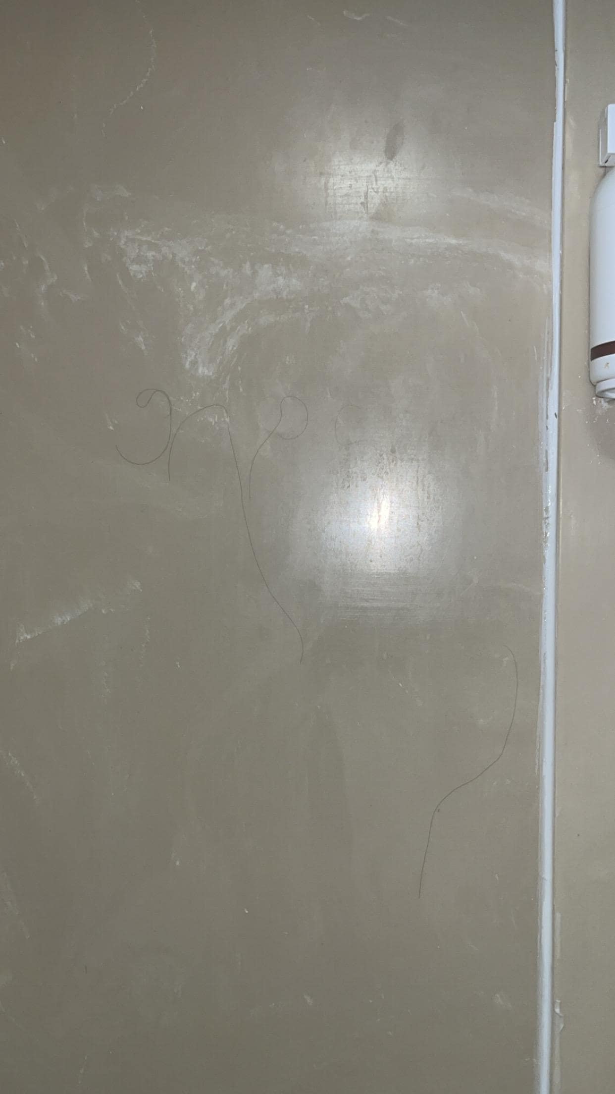 Someone’s hair in the shower 