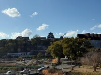 屋上からの眺望