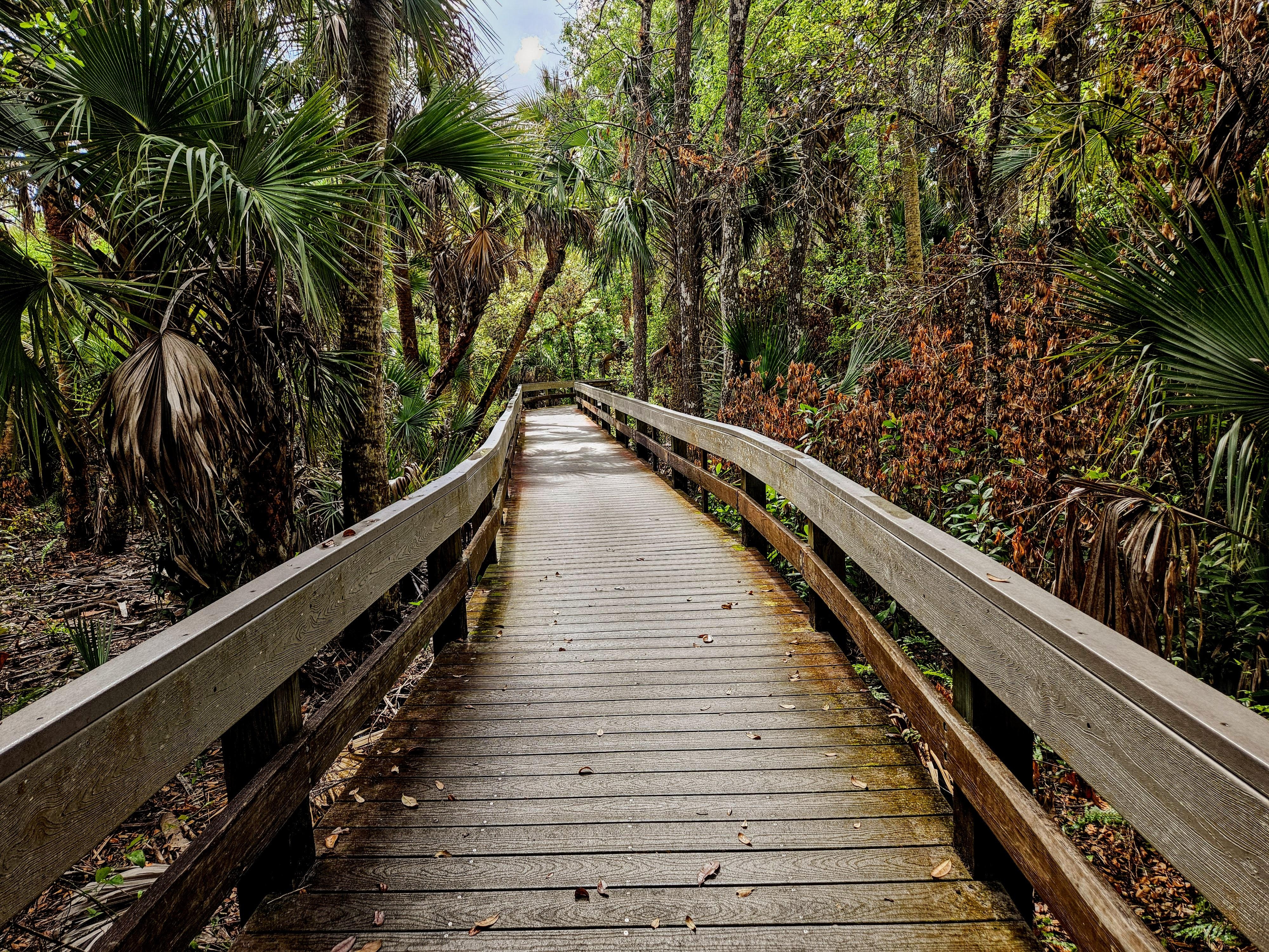 Pretty walk around Erna Nixon Park one morning. 