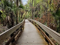 Pretty walk around Erna Nixon Park one morning.