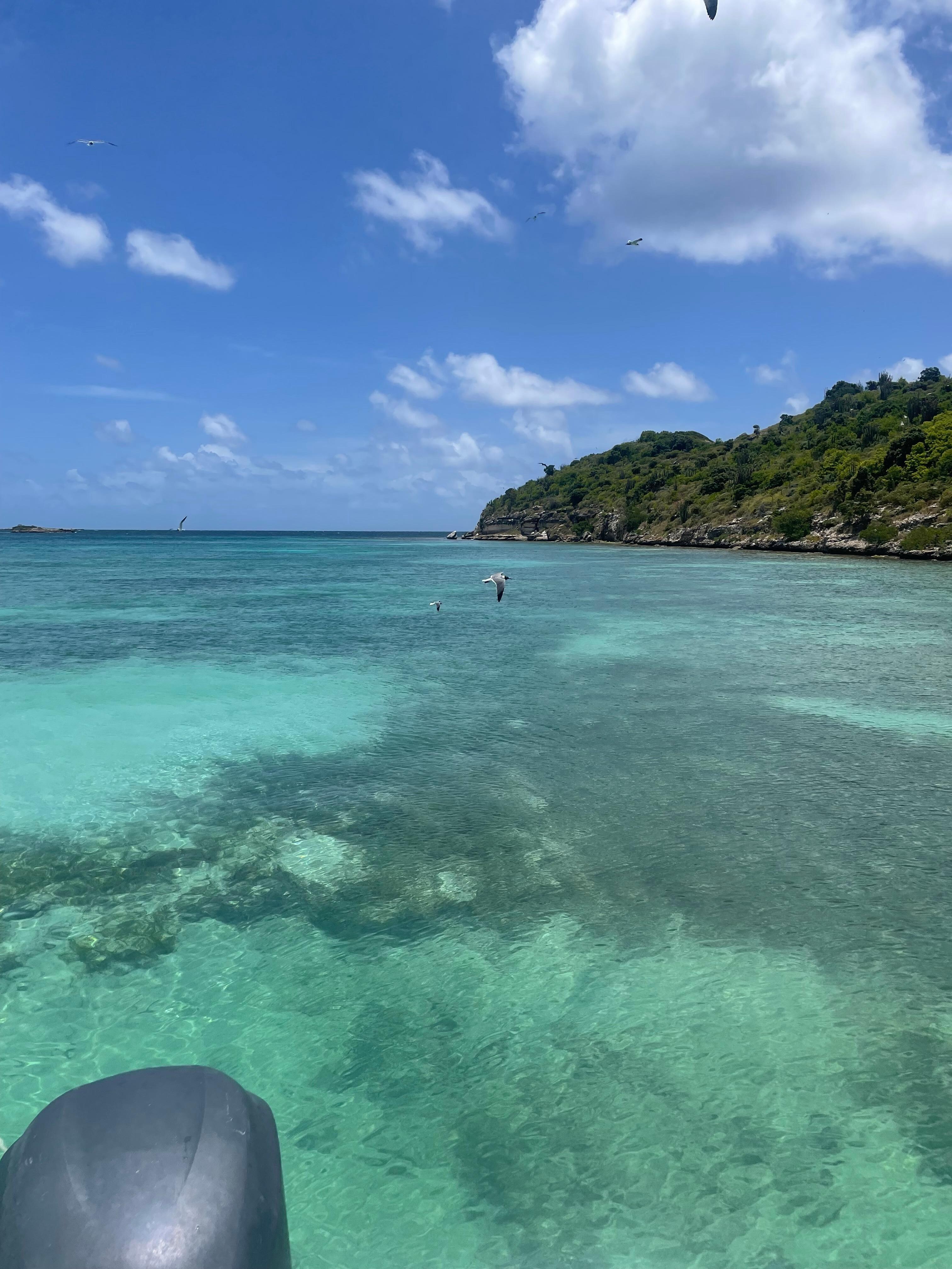 Snorkeling
