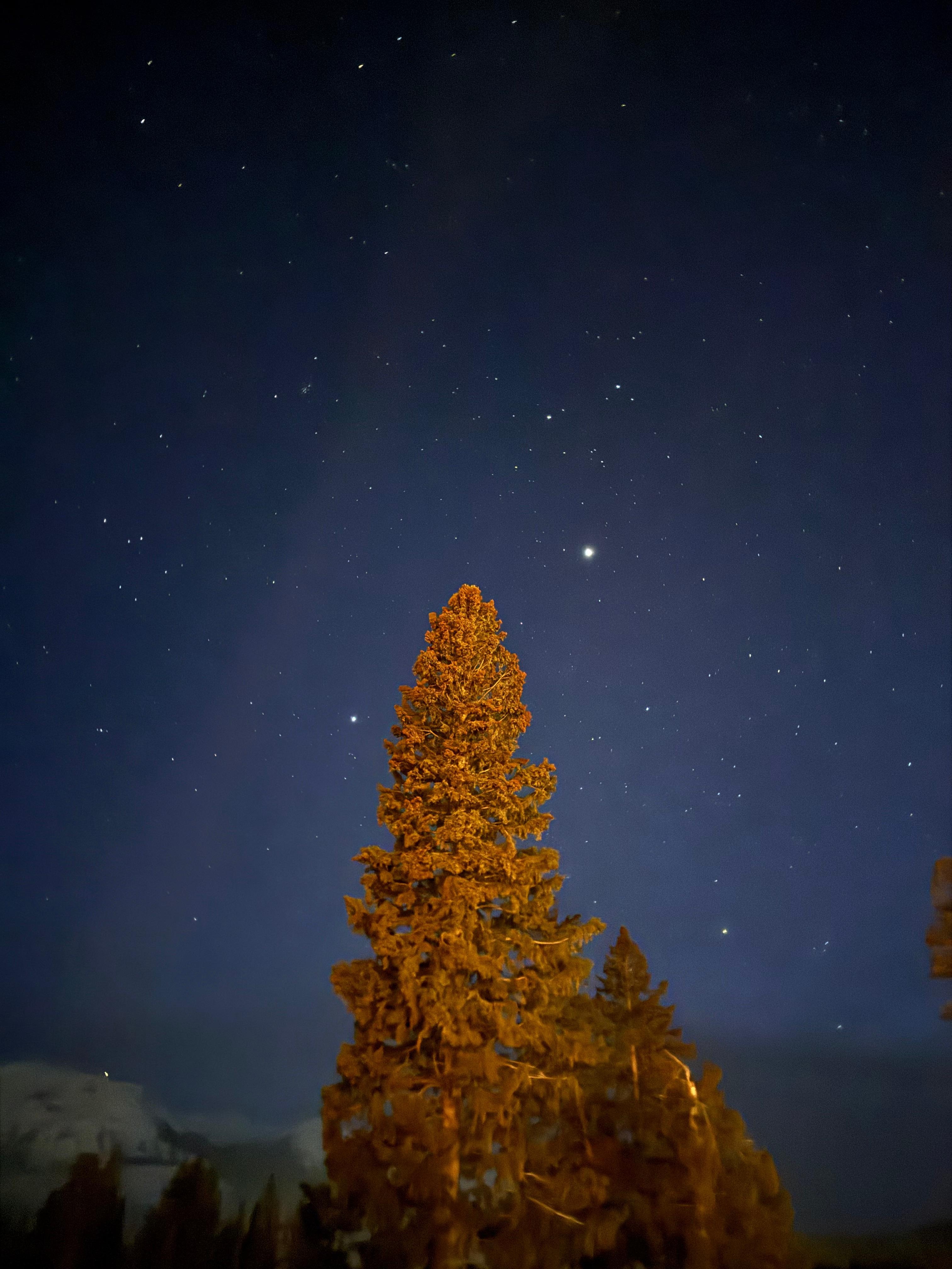 View of the night sky from the hotel