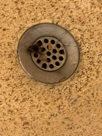 Bathtub drain upon checkin