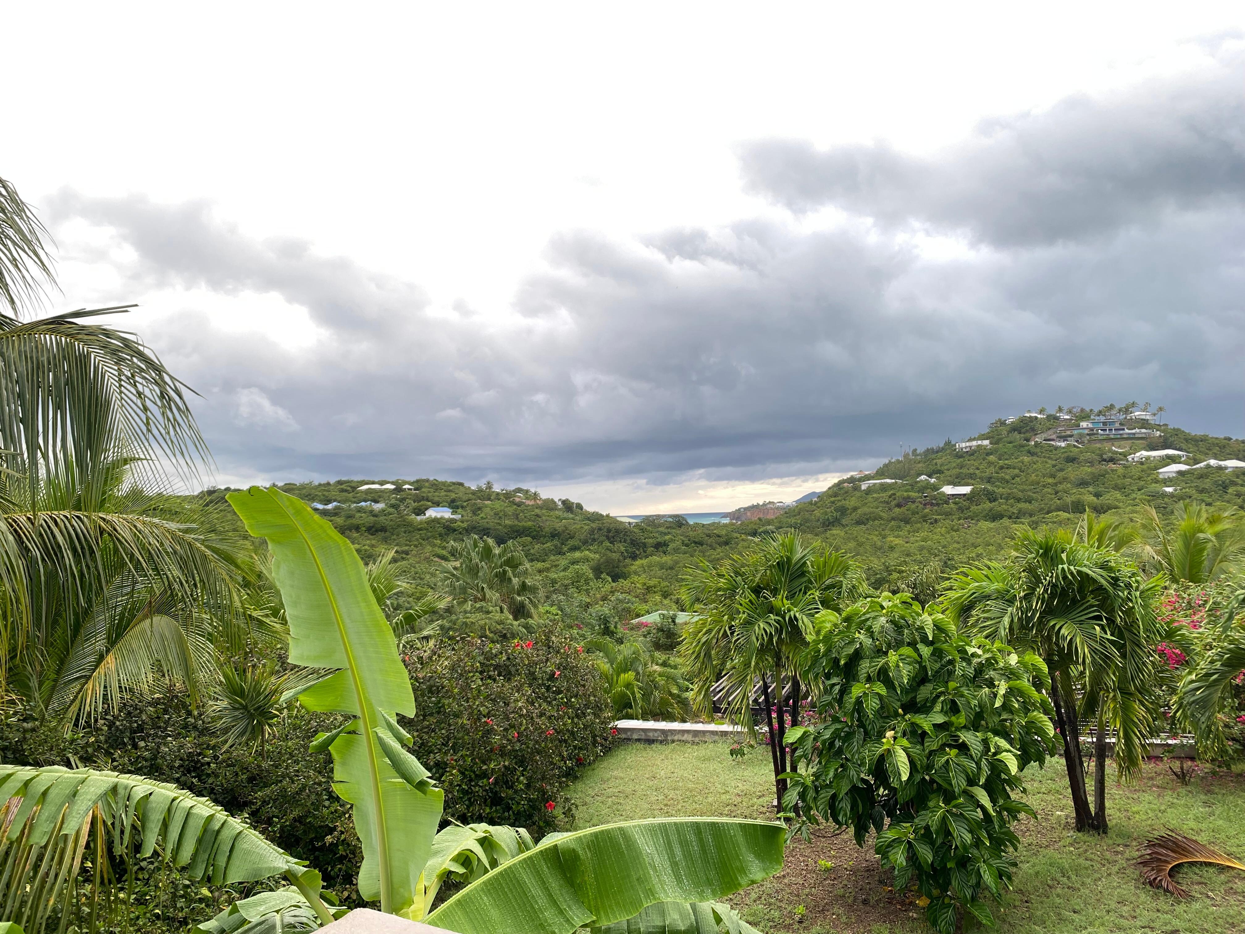 Gorgeous views from the home
