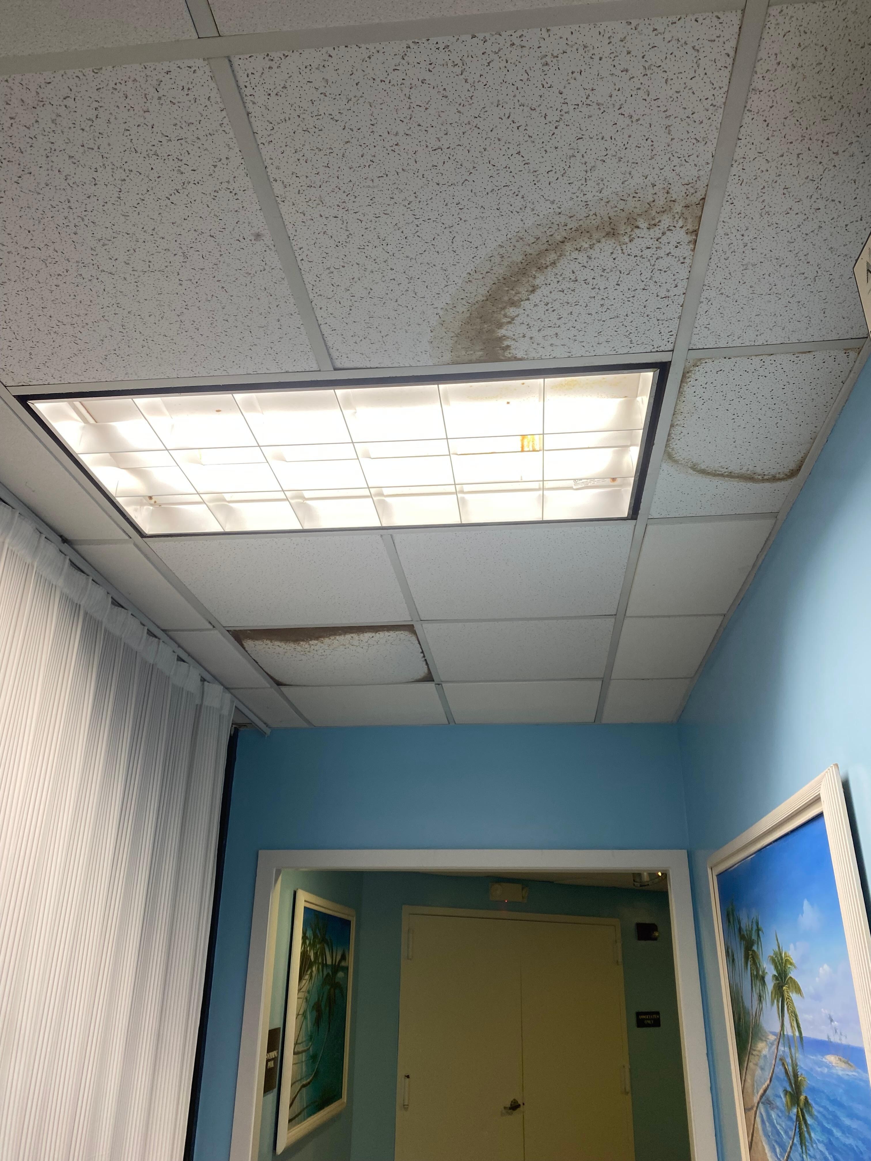 Water leaks ceiling tiles