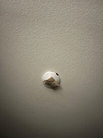 someone taped over the light sensor