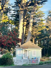 It’s so cute and cozy. Enough for two plus a small to medium sized dog. It has a kitchenette to cook a bit.