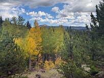 CO Trail between Jefferson Lake and Kenosha Pass. Watch the weather and take a rain jacket.