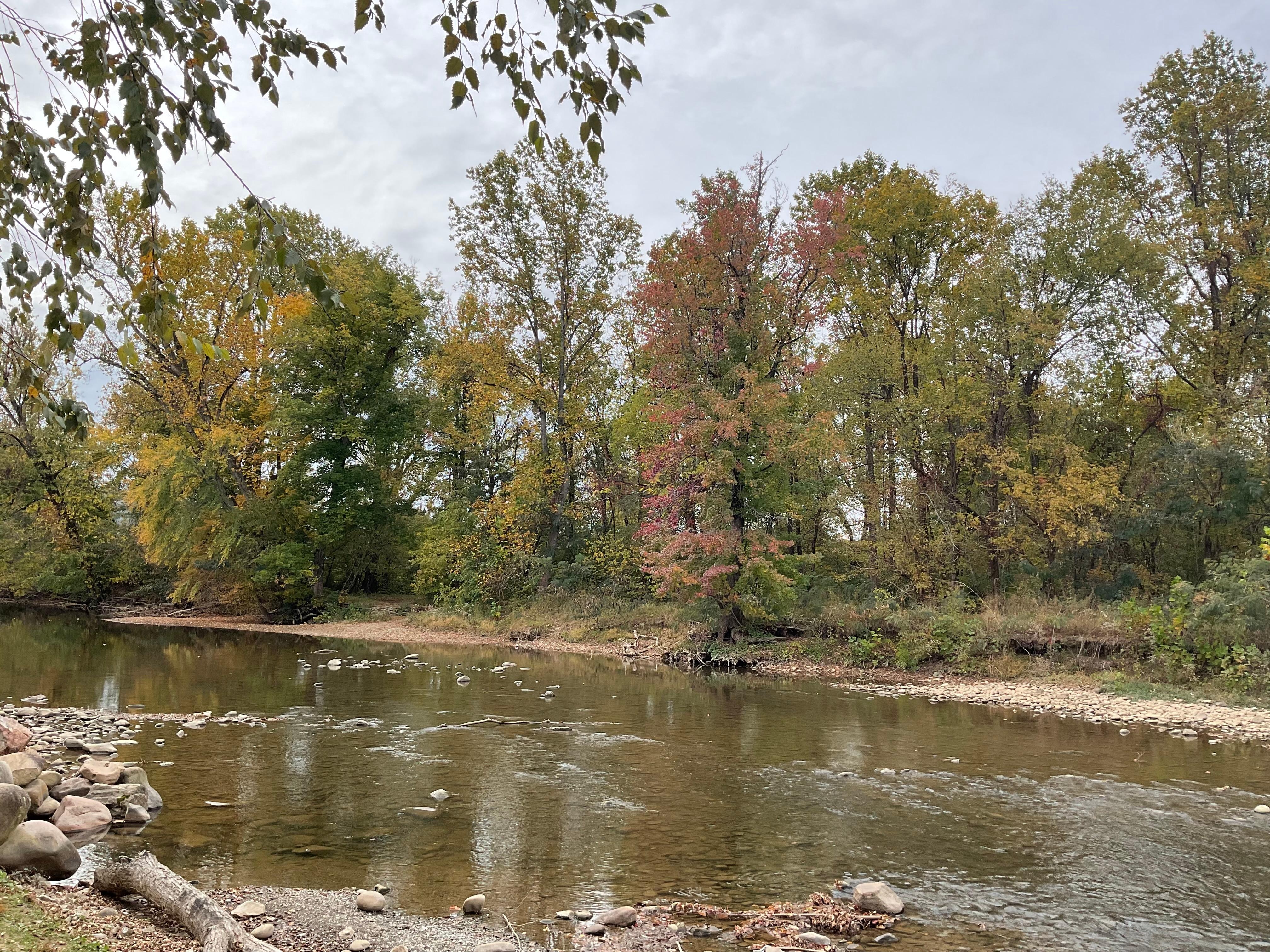 River view southwards 