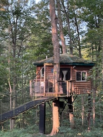 The Nest