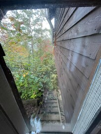 View in shower downstairs per description (Super private)