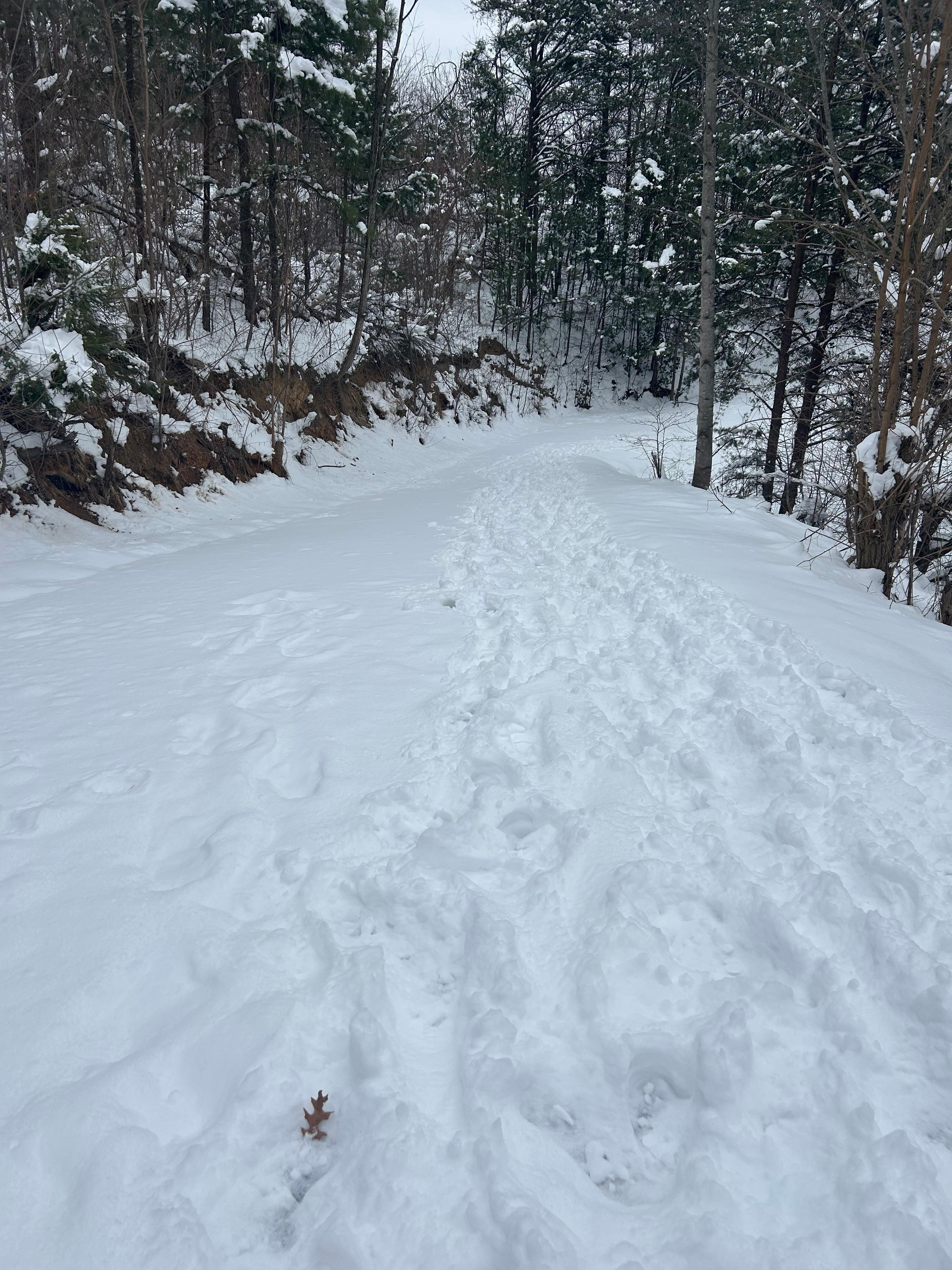 THEIR private driveway.