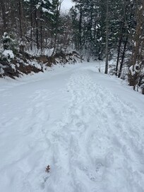 THEIR private driveway.