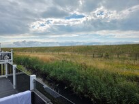 View from decking