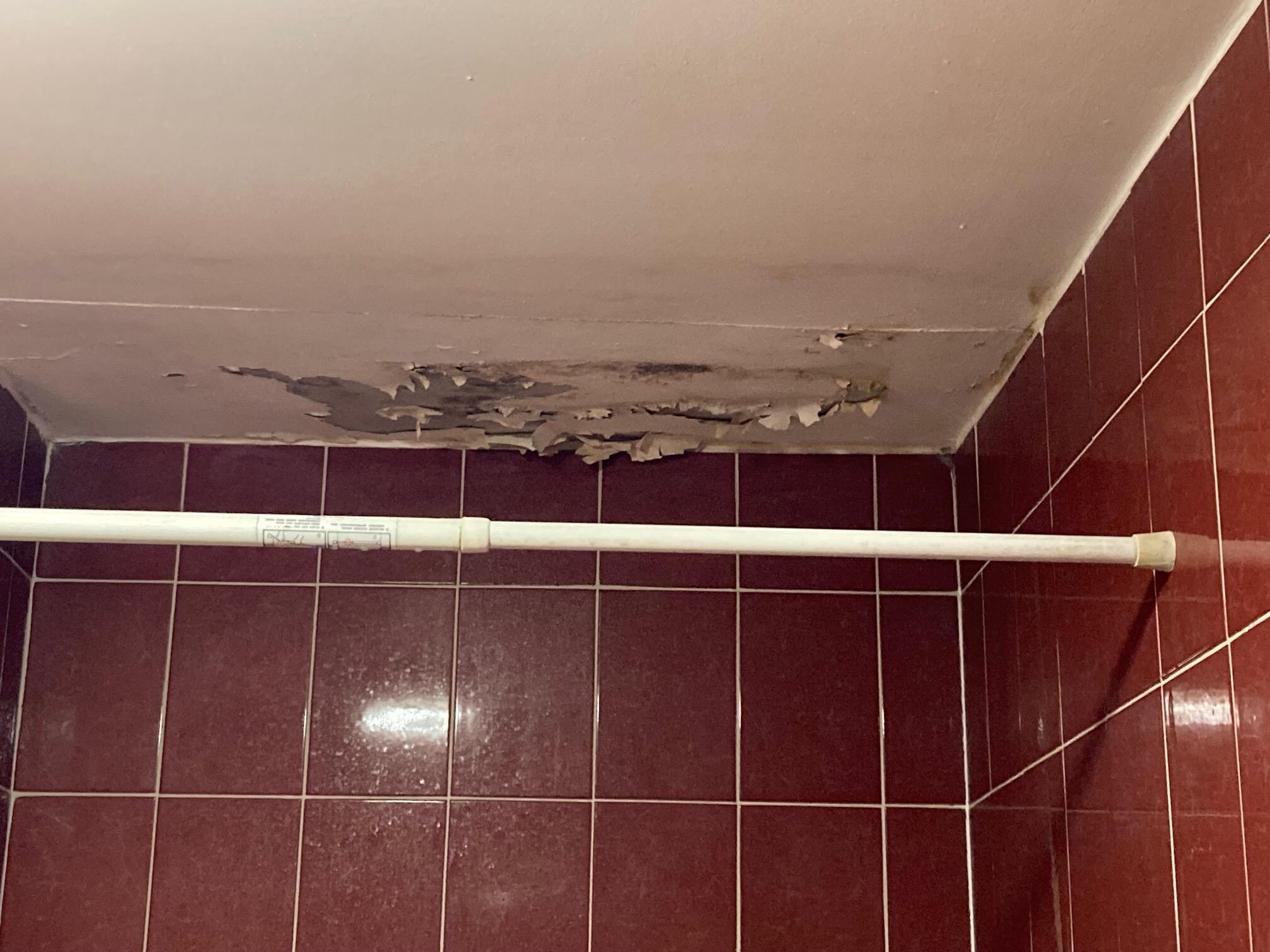 Peeling paint above bathtub.