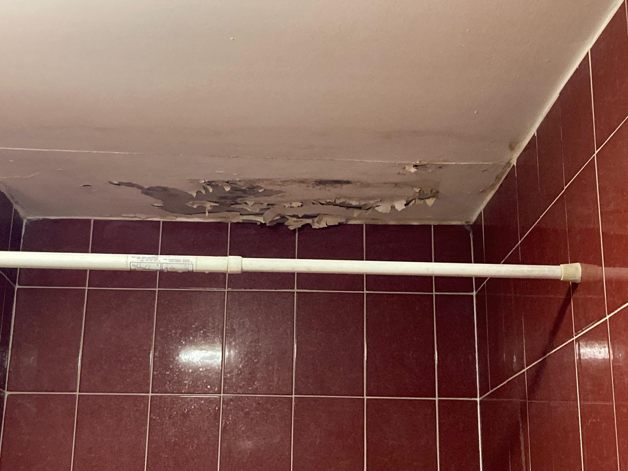 Peeling paint above bathtub.