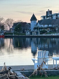 View from hotel back yard. Note nesting goose.