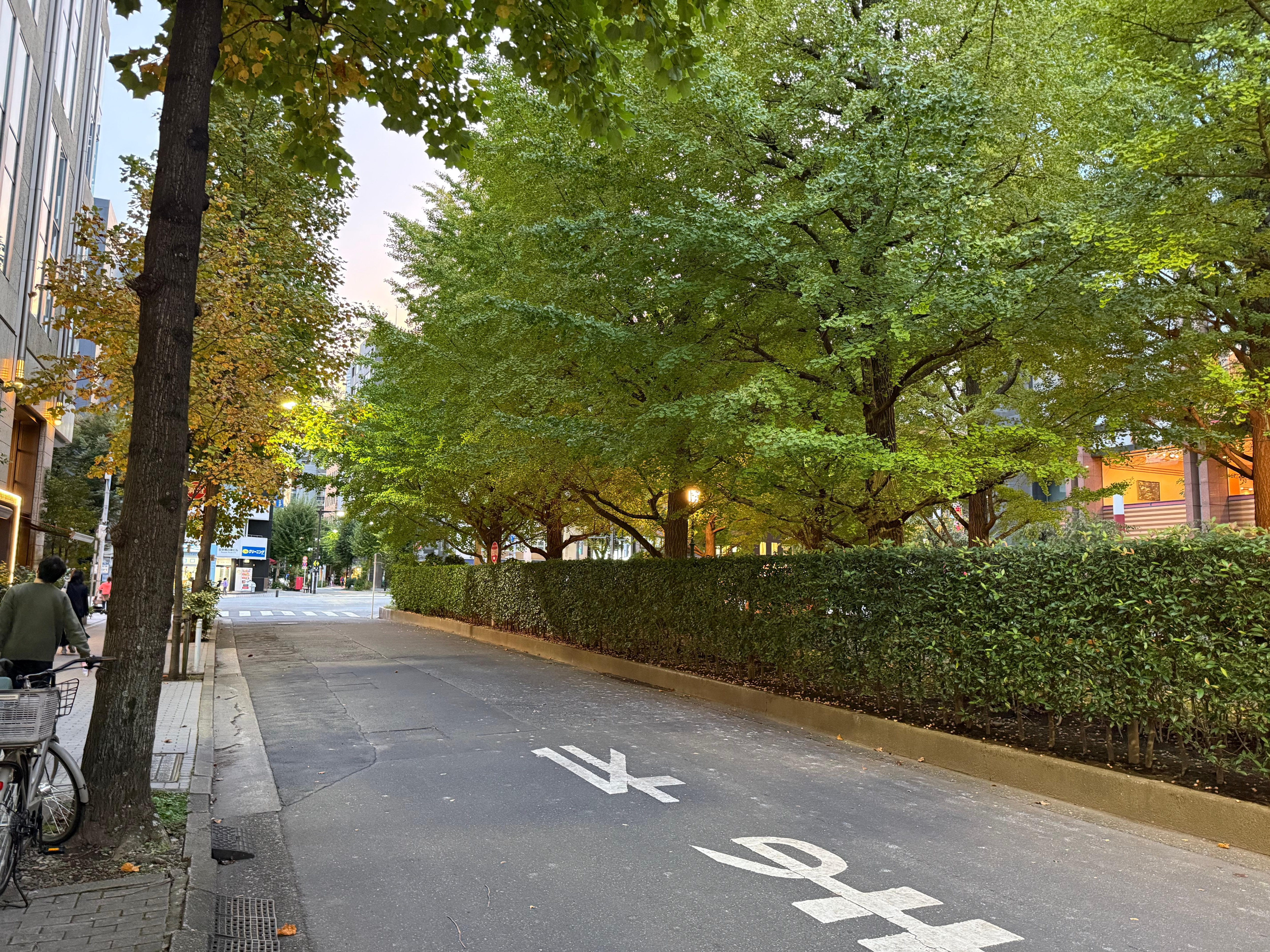 Viale alberato di fronte a hotel 
