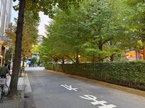 Viale alberato di fronte a hotel