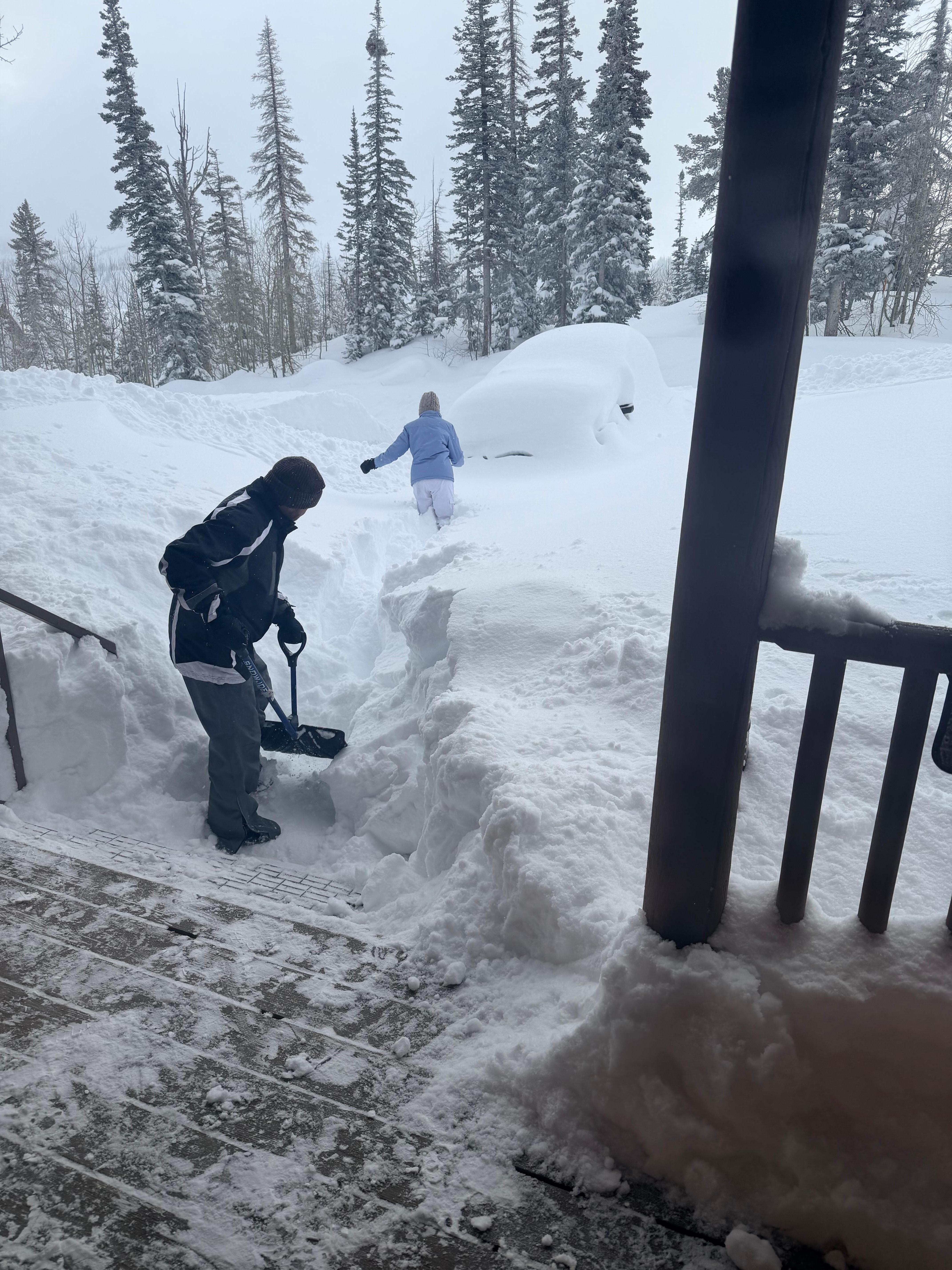 Desperately needed more shovels, plow, or plow service. 