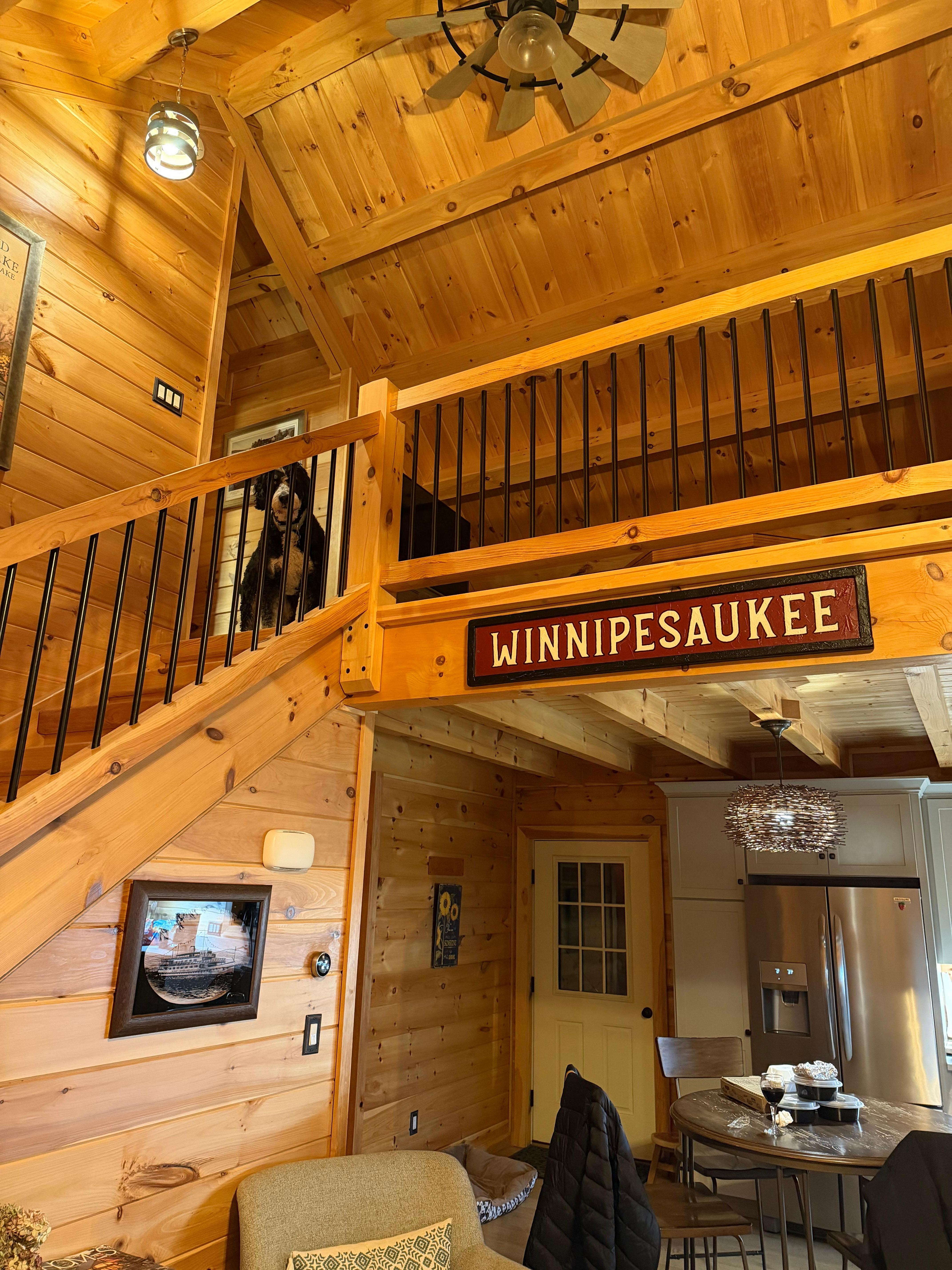 Harley loved his home for the weekend too!