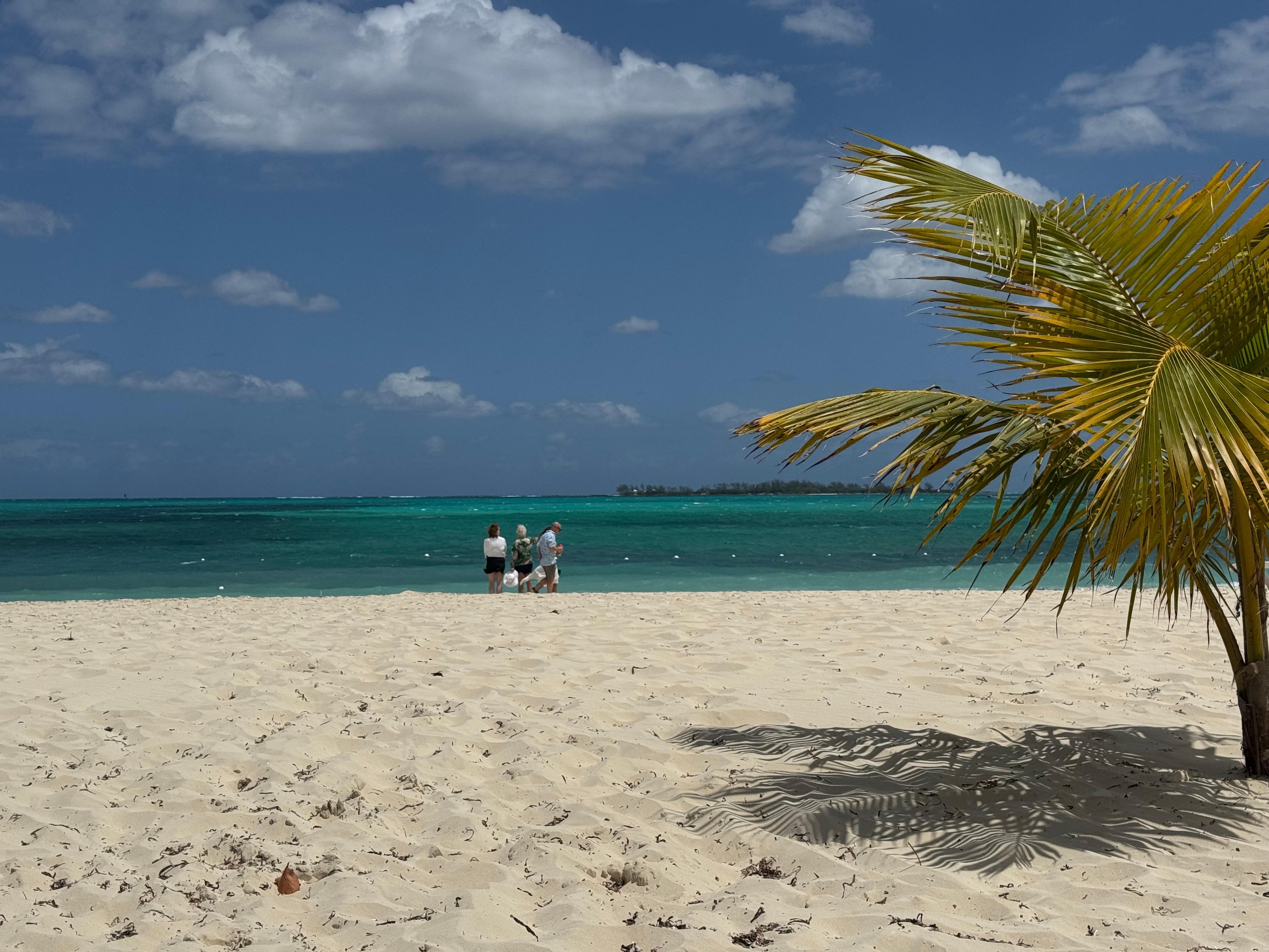 Sitting under the palm trees. 