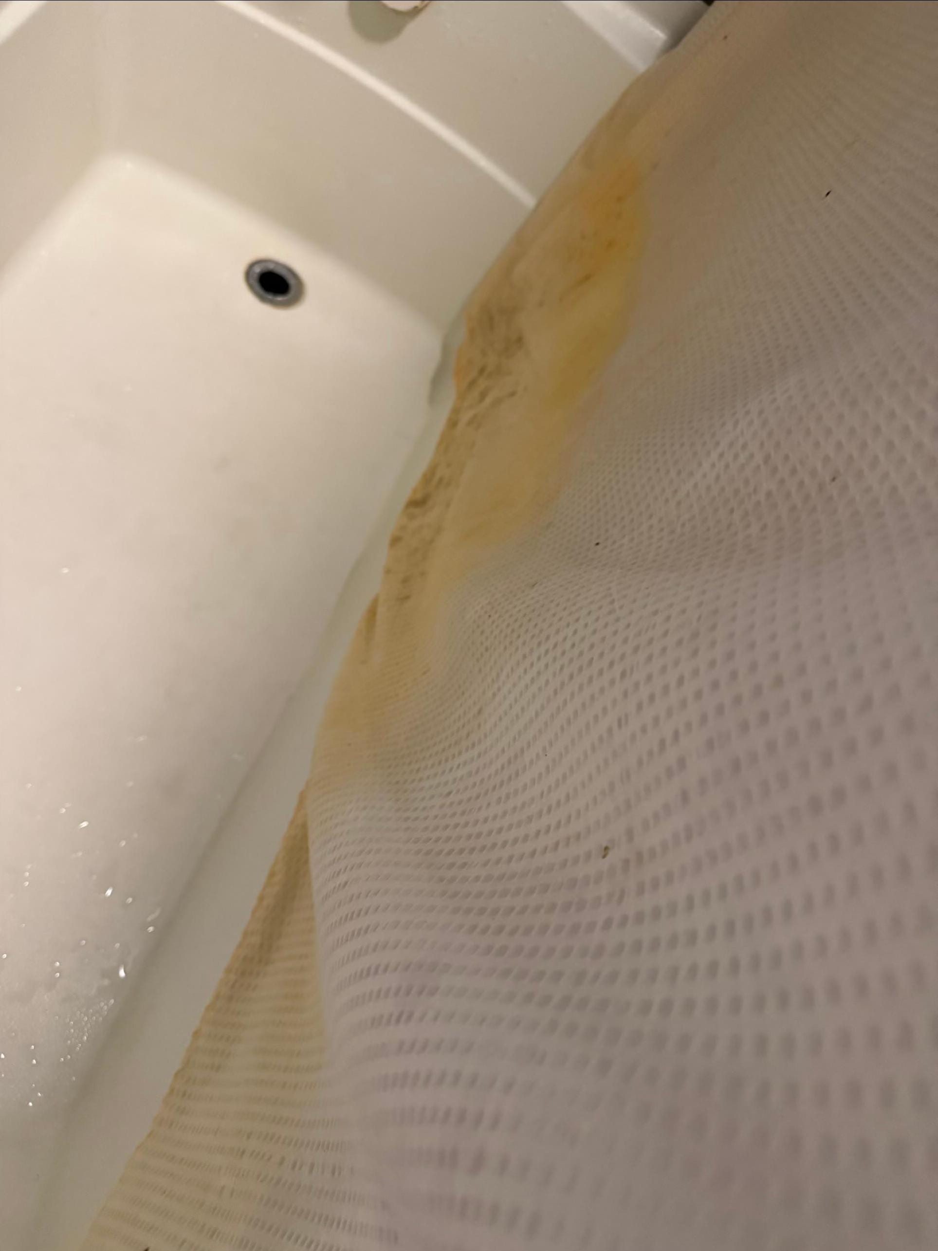 Looking down at the tub and the moldy shower curtain. 