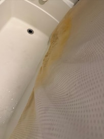 Looking down at the tub and the moldy shower curtain.