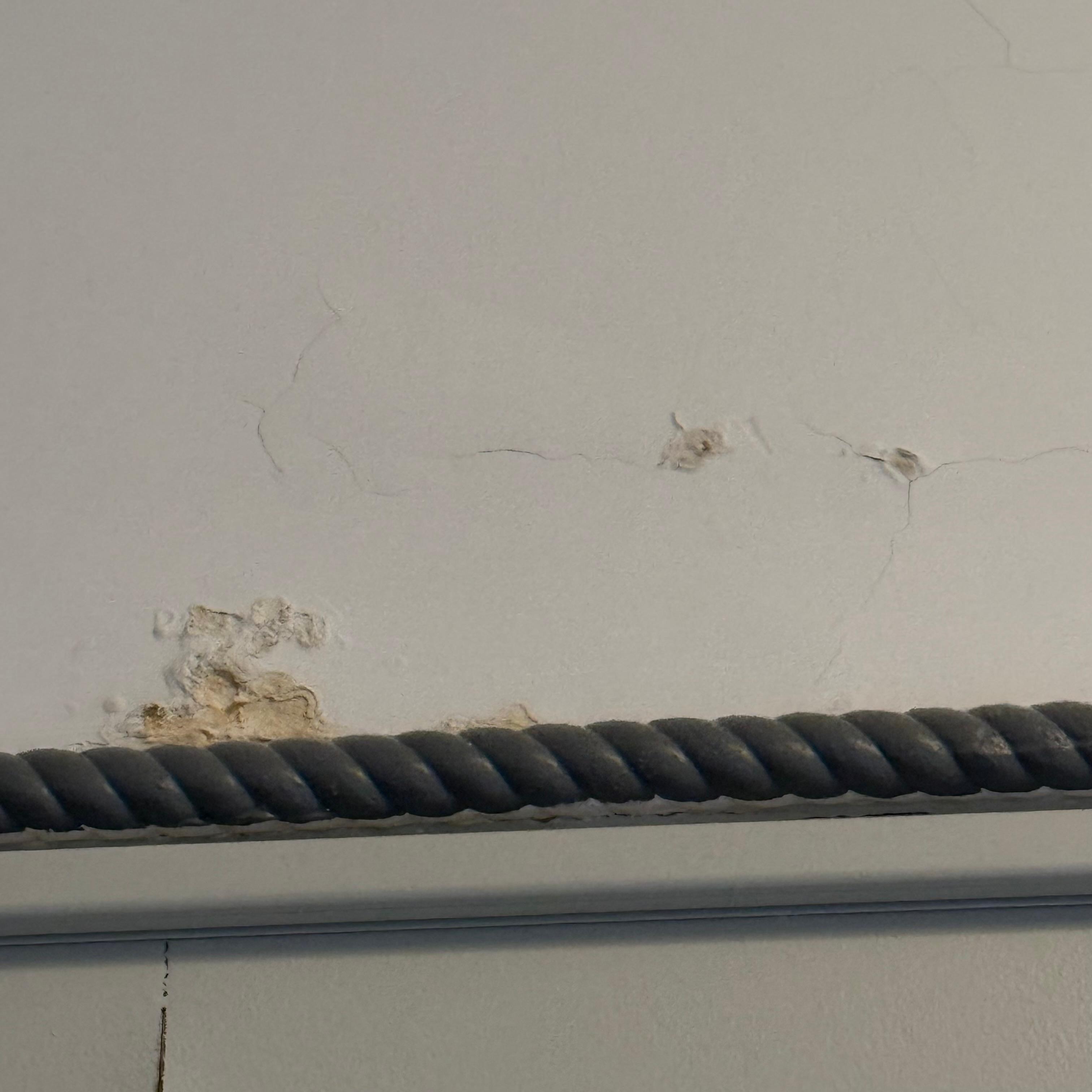 Peeling paint & wall paper everywhere 