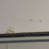 Peeling paint & wall paper everywhere