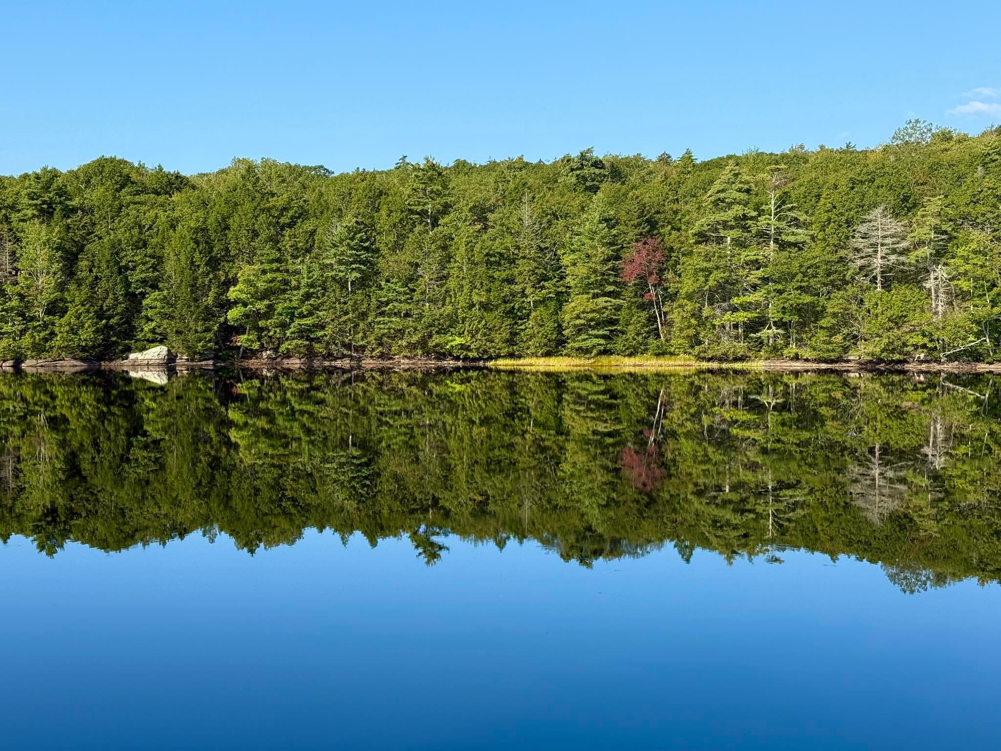 The lake would often be like a mirror, and the trees were just beginning to change. 