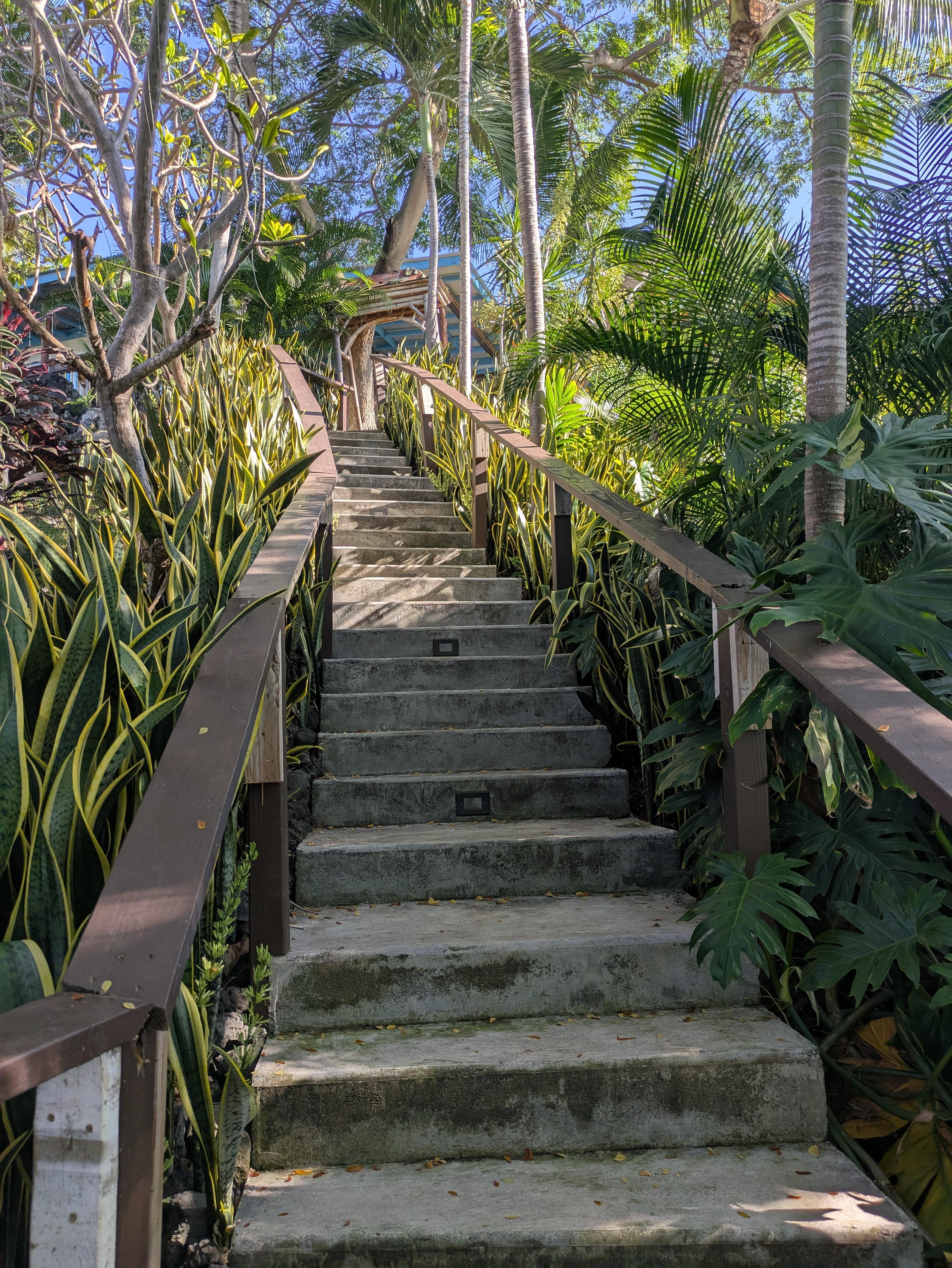 Who needs the gym with this workout up to the almost treehouse 💪