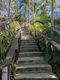 Who needs the gym with this workout up to the almost treehouse 💪