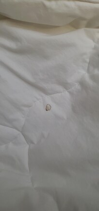 Duvet with fresh stain