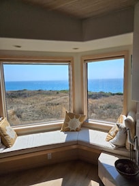 View from inside the house (great room window).