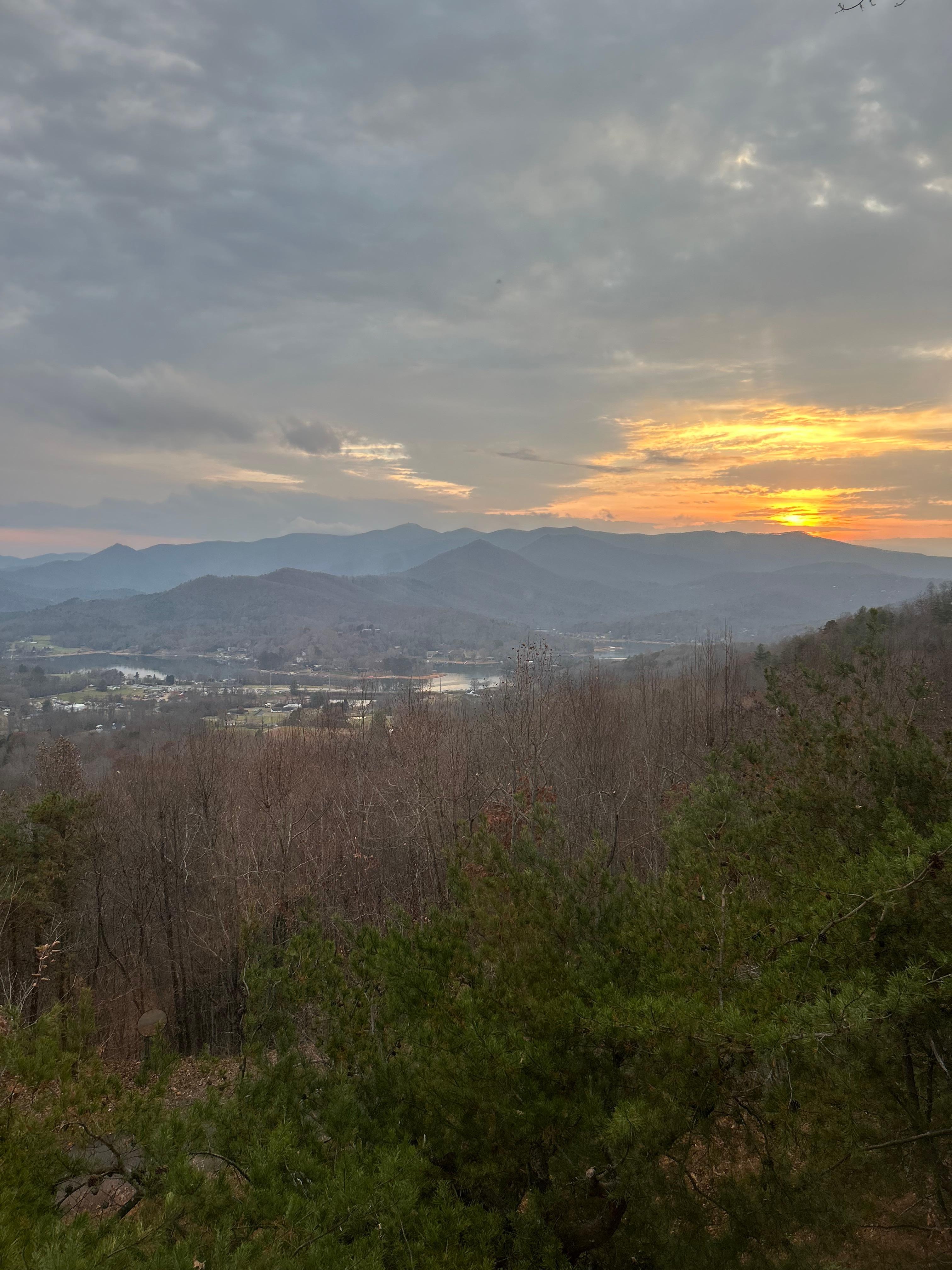 View from the kitchen table