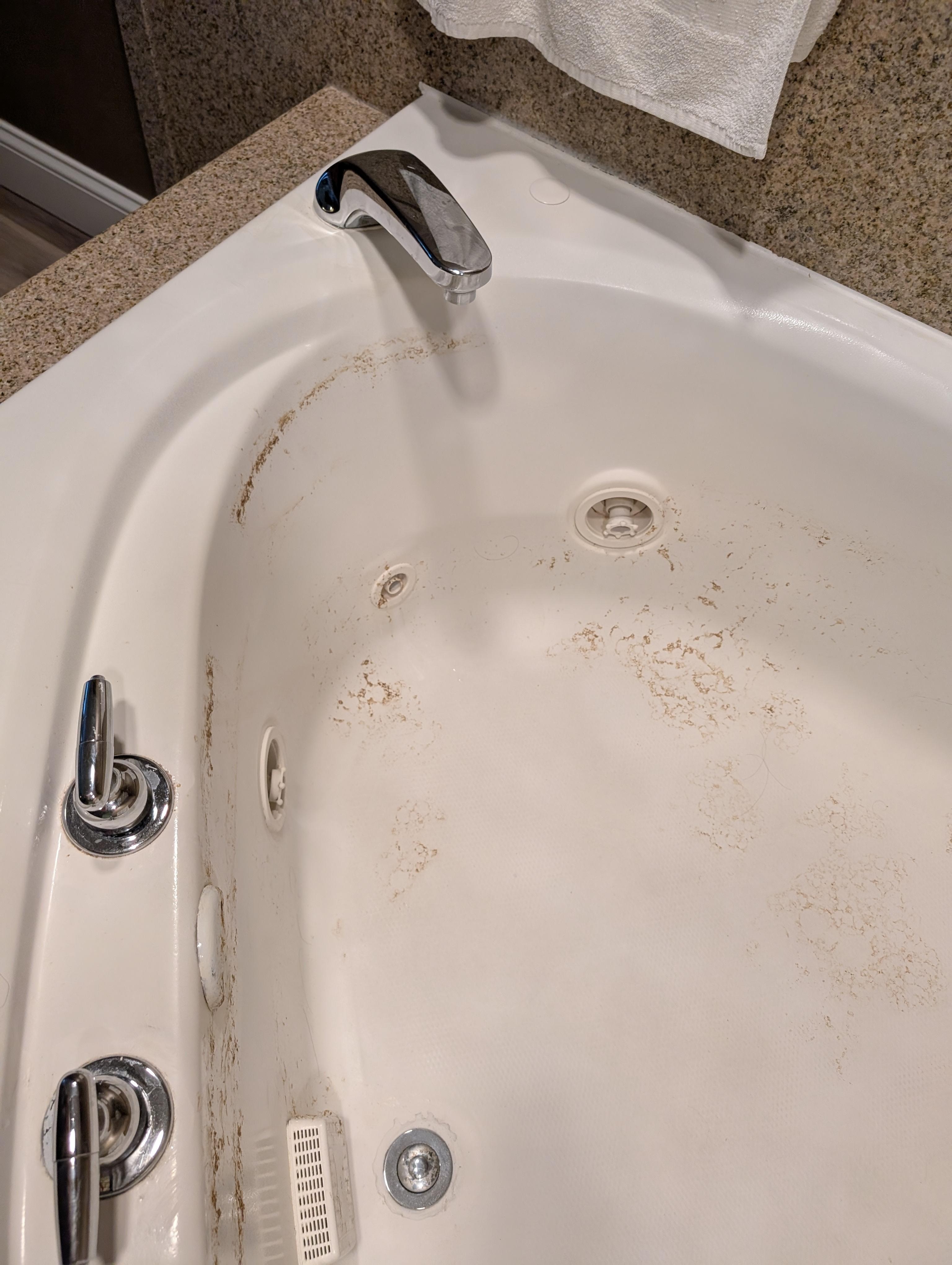 Scum and Mold