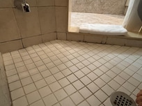 Main shower black mold