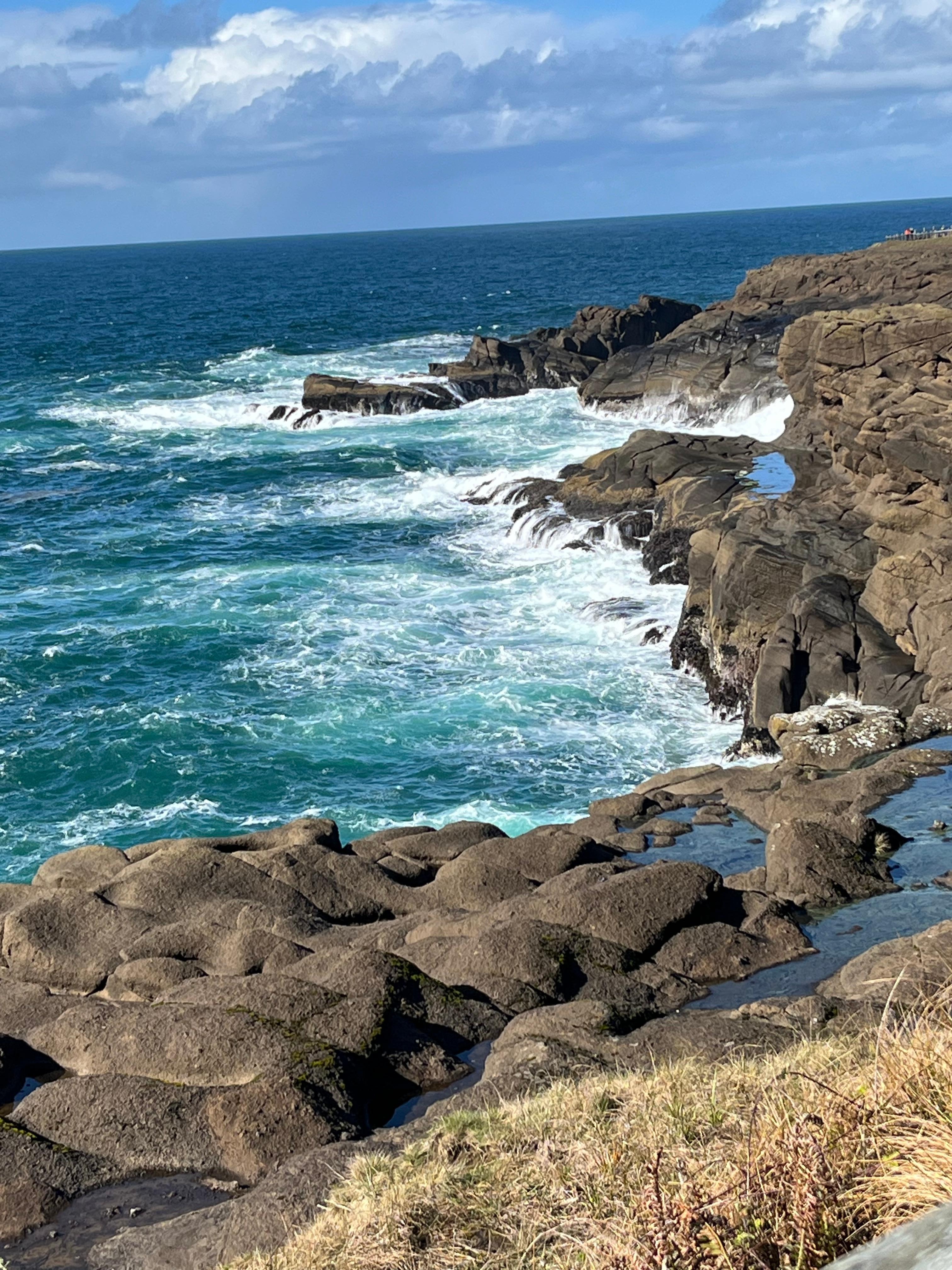 View from the yard just off our patio.