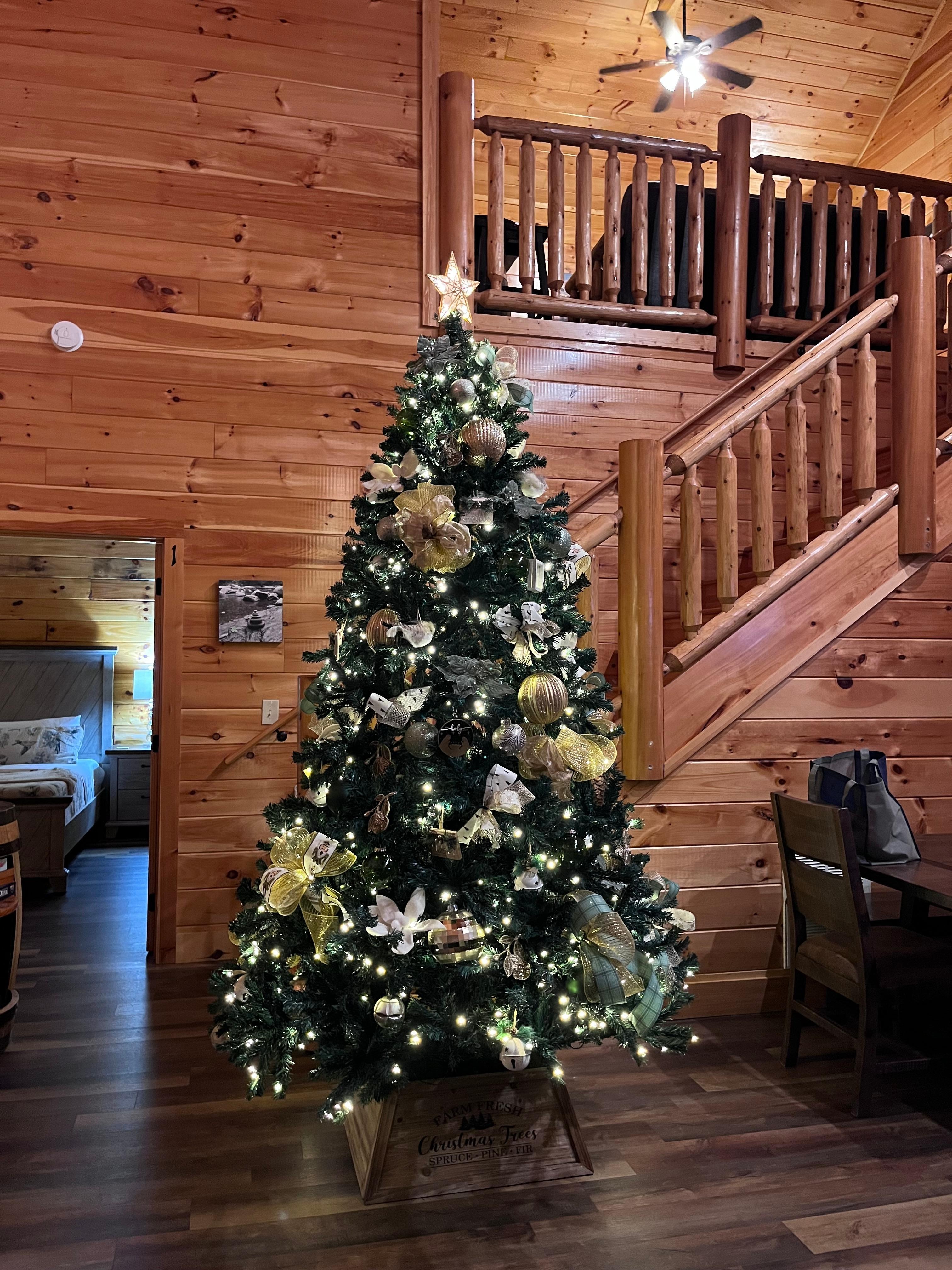 Tree up for Christmas 