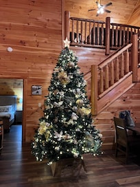 Tree up for Christmas