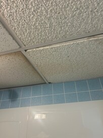 Bathroom ceiling