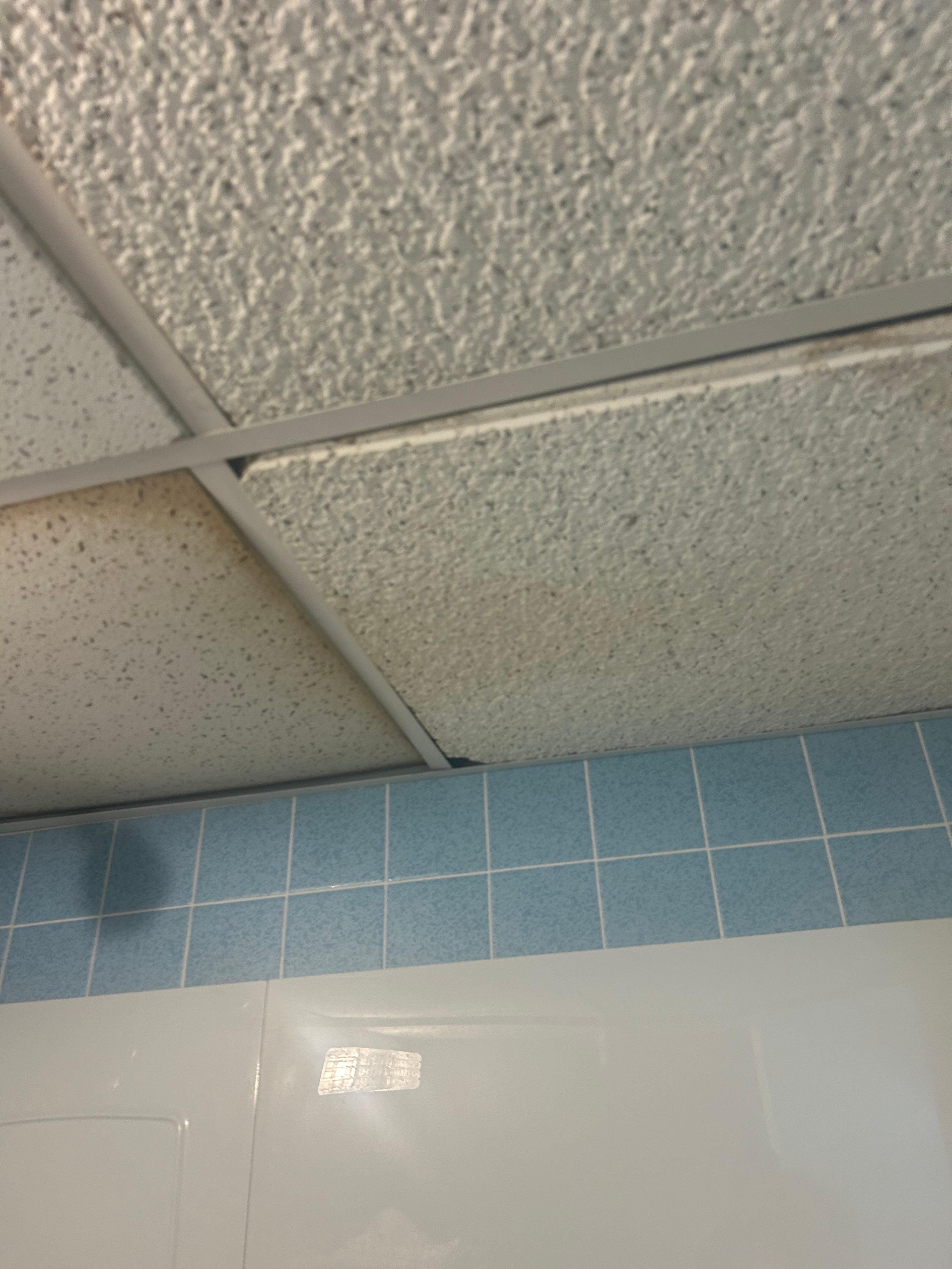 Bathroom ceiling
