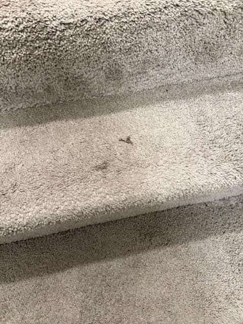 Dirty carpet